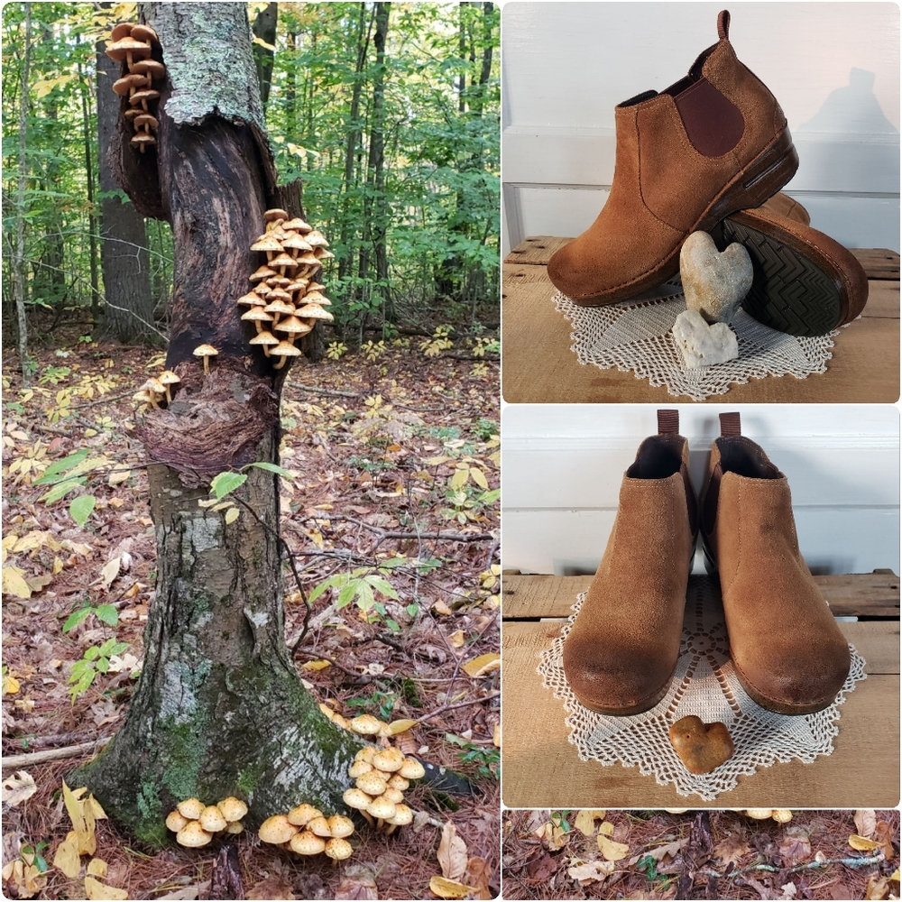 ⚘inQuire⚘AvaiLable⚘Rustic Dansko FRANKIE Chelsea Clog Bootie Antique Honey 37 39 - Picture 3 of 9